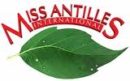 Logo Miss antilles